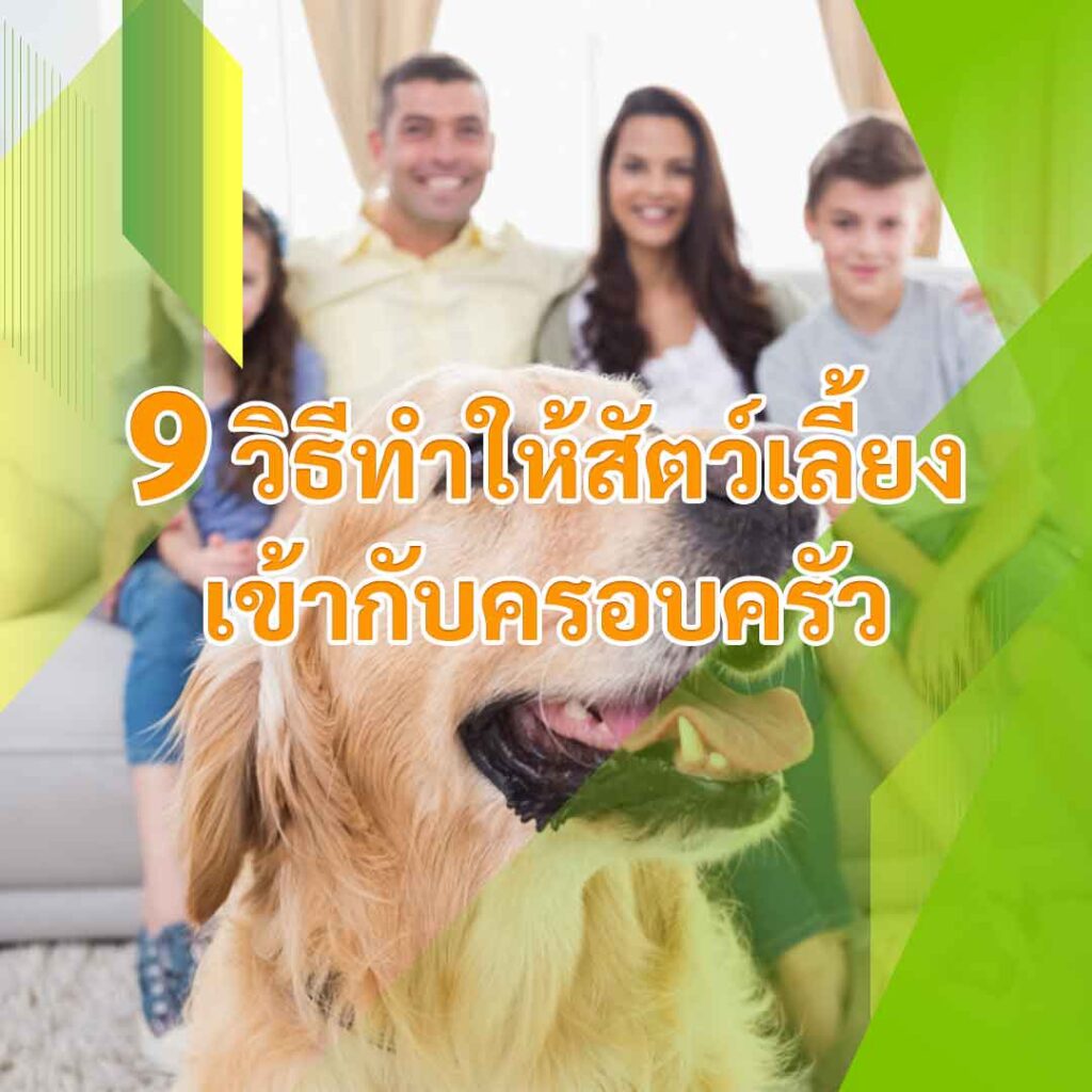 วิธีการทำให้สัตว์เลี้ยงเข้ากับครอบครัว