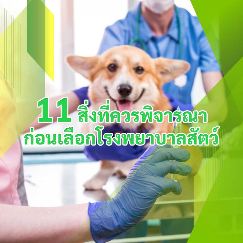 โรงพยาบาลสัตว์